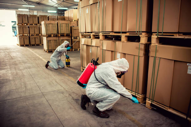 Best Wasp Removal Services  in Mcpherson, KS