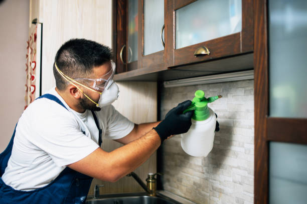 Best Bed Bug Extermination  in Mcpherson, KS