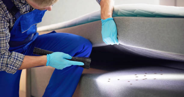 Best Ant Control Services  in Mcpherson, KS