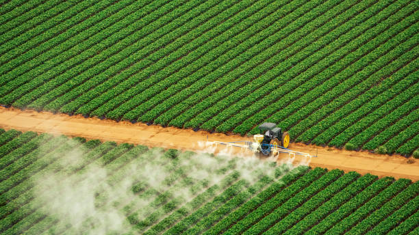 Best Pest Removal Services  in Mcpherson, KS