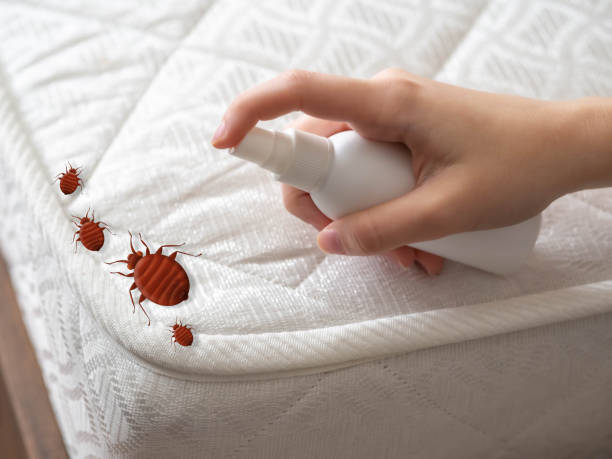 Best Insect Control  in Mcpherson, KS