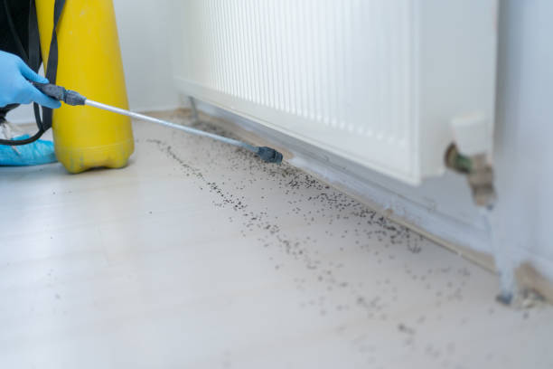 Pest Control for Restaurants in Mcpherson, KS